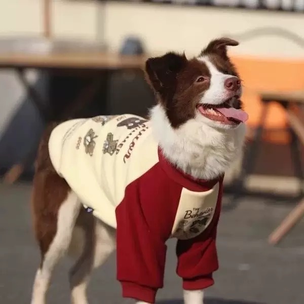 Pet Apparel