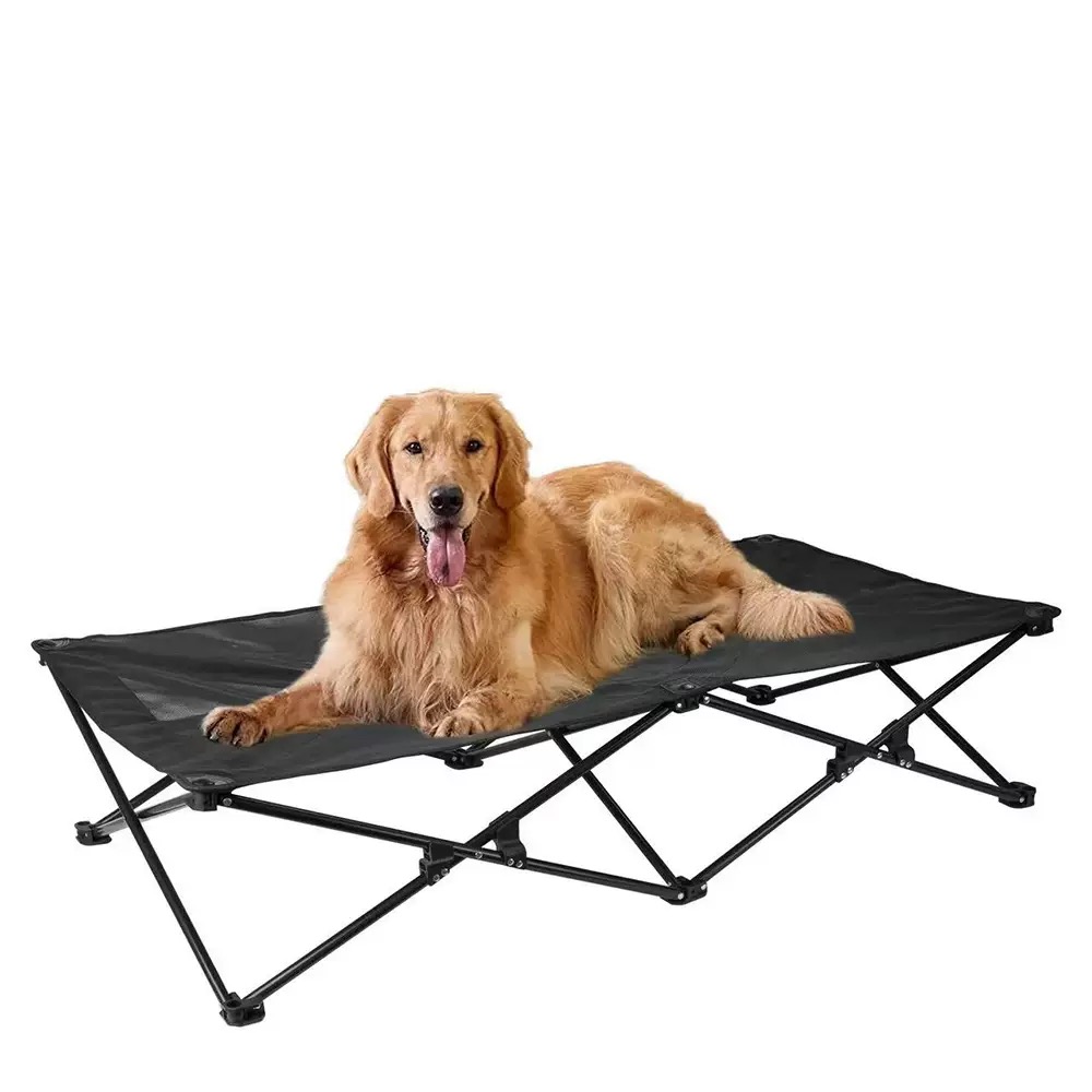 Elevated Dog Bed